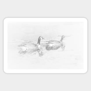 Canada Geese Pencil Sticker